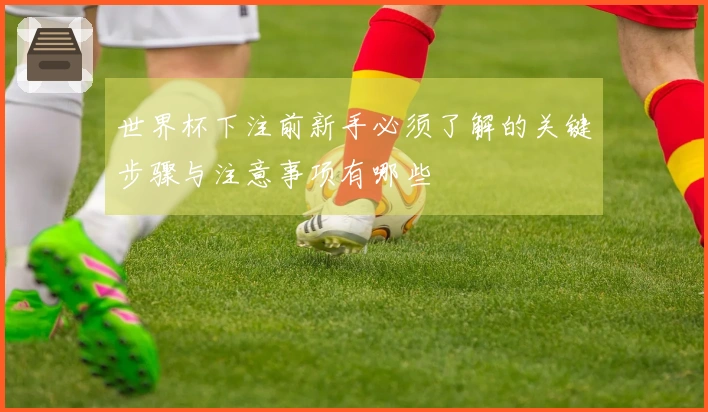 世界杯下注前新手必须了解的关键步骤与注意事项有哪些