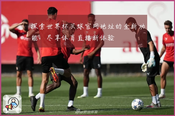 探索世界杯买球官网地址的全新功能，尽享体育直播新体验