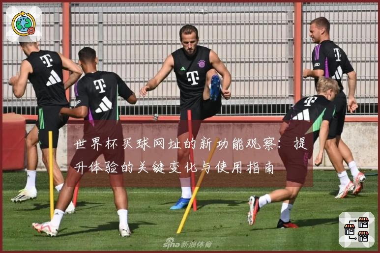 世界杯买球网址的新功能观察：提升体验的关键变化与使用指南