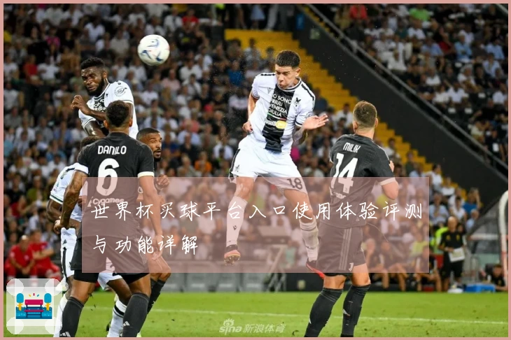 世界杯买球平台入口使用体验评测与功能详解
