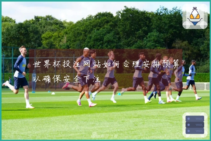 世界杯投注网站如何合理安排预算以确保安全下注
