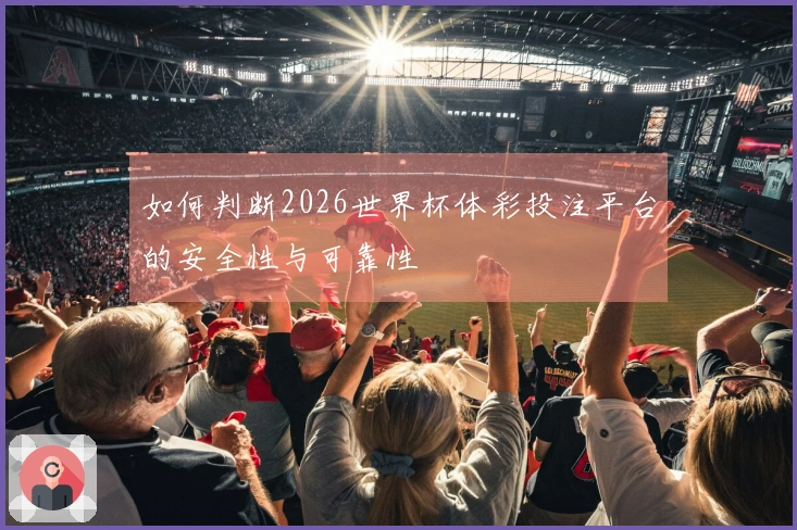 如何判断2026世界杯体彩投注平台的安全性与可靠性