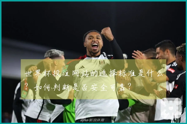 世界杯投注网站的选择标准是什么？如何判断是否安全可靠？