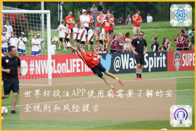 世界杯投注APP使用前需要了解的安全规则和风险提示