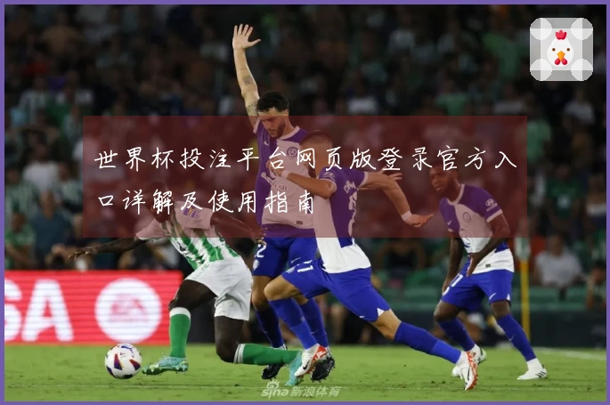 世界杯投注平台网页版登录官方入口详解及使用指南