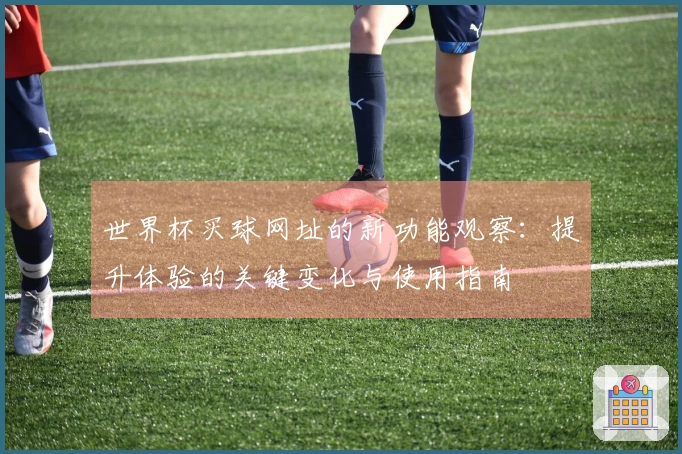 世界杯买球网址的新功能观察：提升体验的关键变化与使用指南