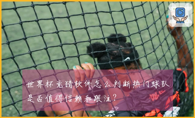 世界杯竞猜软件怎么判断热门球队是否值得信赖和跟注？