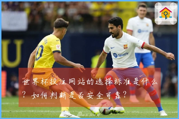 世界杯投注网站的选择标准是什么？如何判断是否安全可靠？