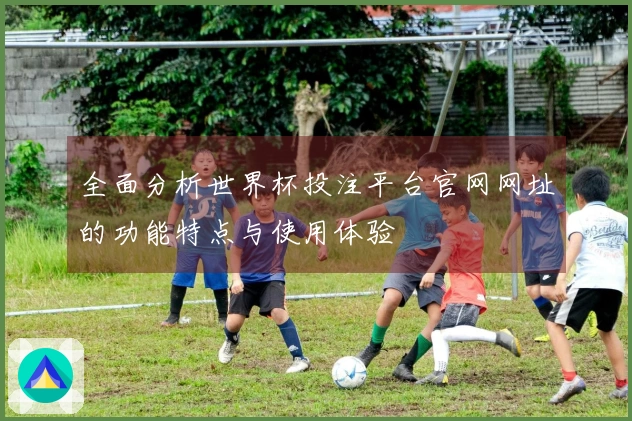 全面分析世界杯投注平台官网网址的功能特点与使用体验