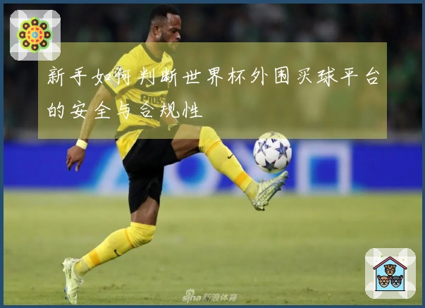 新手如何判断世界杯外围买球平台的安全与合规性