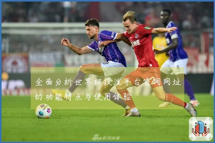 全面分析世界杯投注平台官网网址的功能特点与使用体验