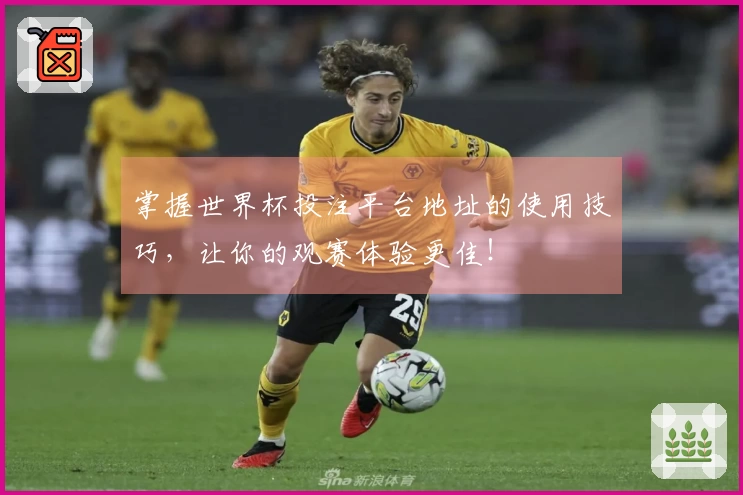 掌握世界杯投注平台地址的使用技巧,让你的观赛体验更佳!