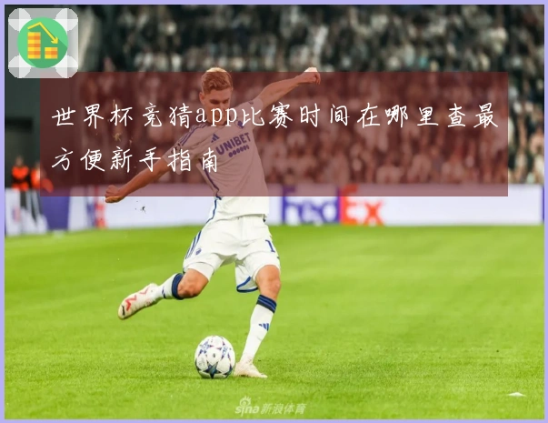 世界杯竞猜app比赛时间在哪里查最方便新手指南