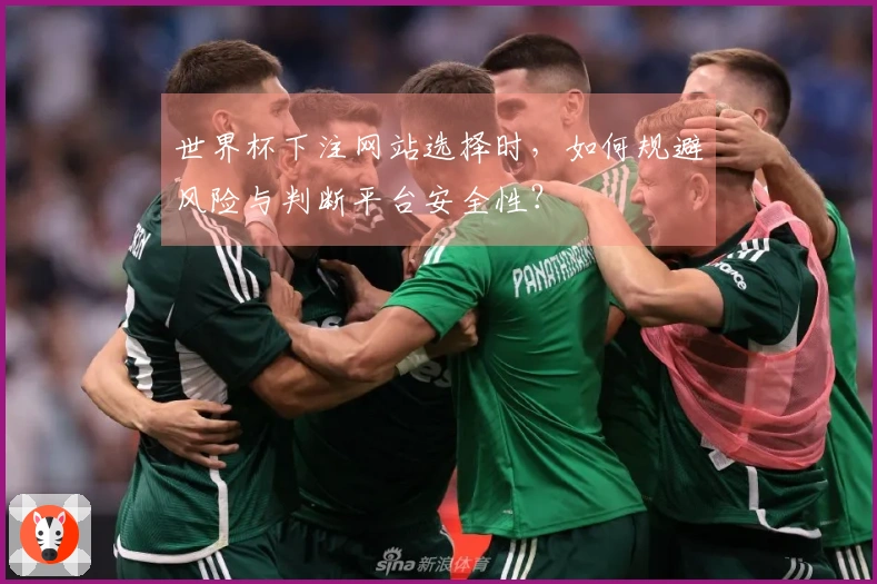 世界杯下注网站选择时，如何规避风险与判断平台安全性？