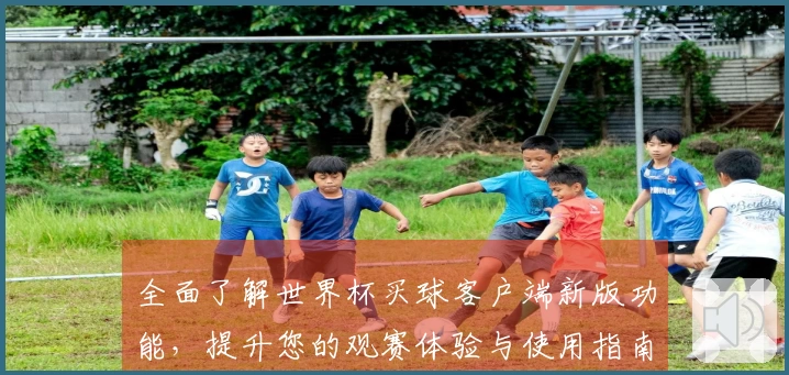 全面了解世界杯买球客户端新版功能,提升您的观赛体验与使用指南