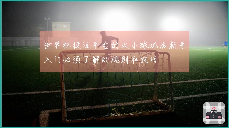 世界杯投注平台的大小球玩法新手入门必须了解的规则和技巧