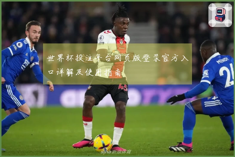 世界杯投注平台网页版登录官方入口详解及使用指南