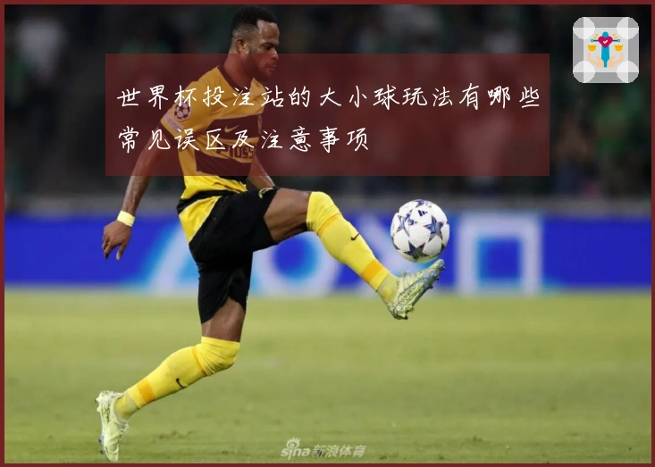 世界杯投注站的大小球玩法有哪些常见误区及注意事项
