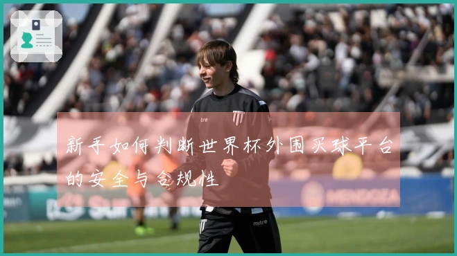 新手如何判断世界杯外围买球平台的安全与合规性