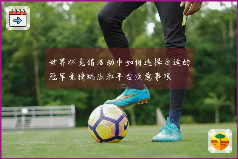 世界杯竞猜活动中如何选择合适的冠军竞猜玩法和平台注意事项