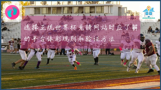 选择正规世界杯竞猜网站时应了解的平台体彩规则和验证方法