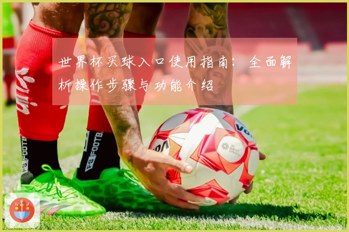 世界杯买球入口使用指南：全面解析操作步骤与功能介绍