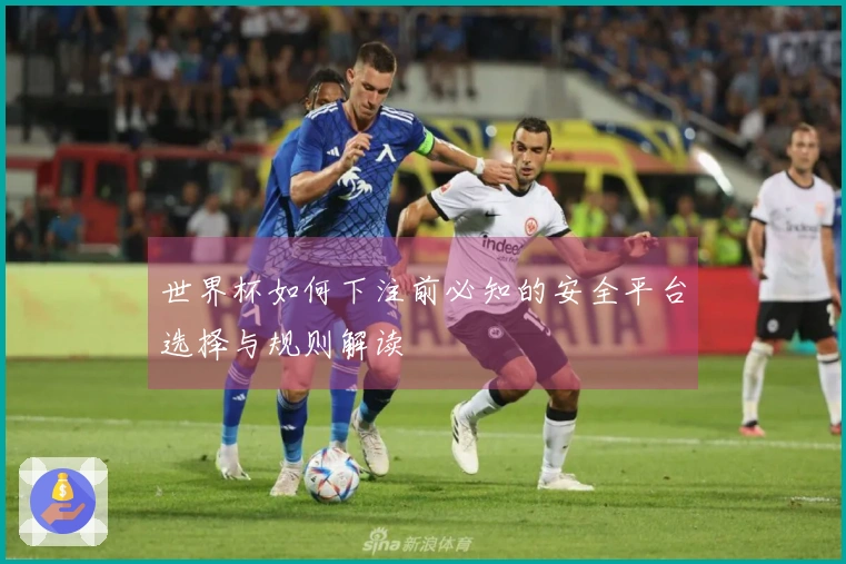 世界杯如何下注前必知的安全平台选择与规则解读