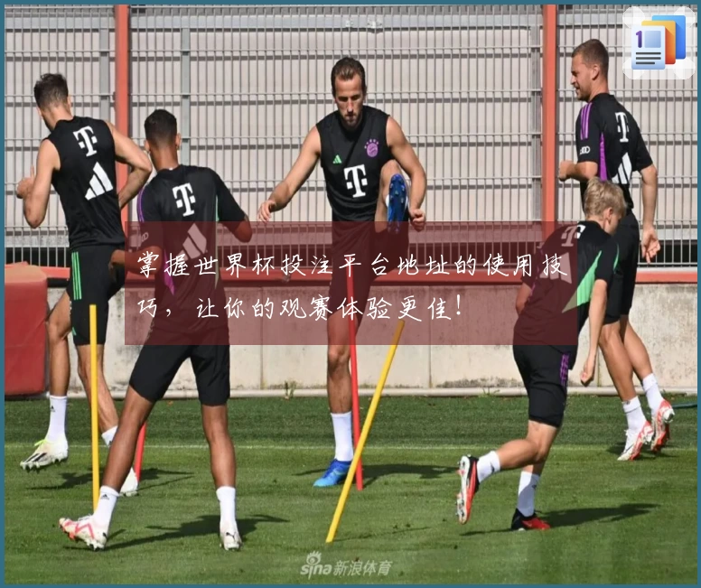 掌握世界杯投注平台地址的使用技巧，让你的观赛体验更佳！